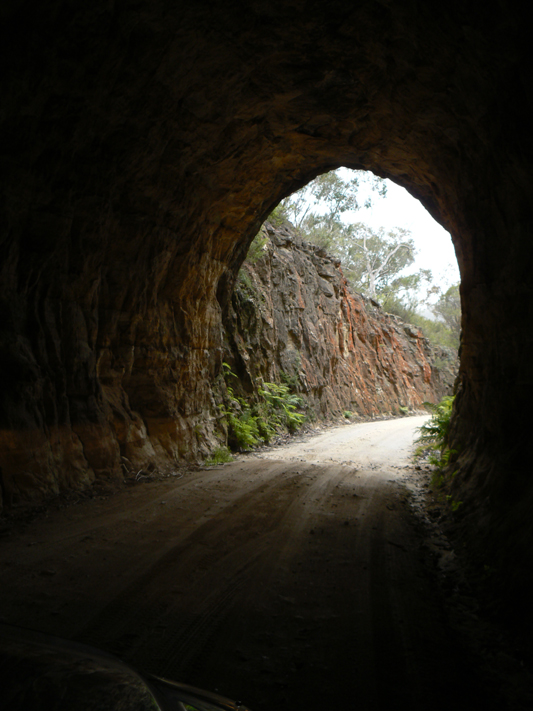  - Glowworm Tunnel Road